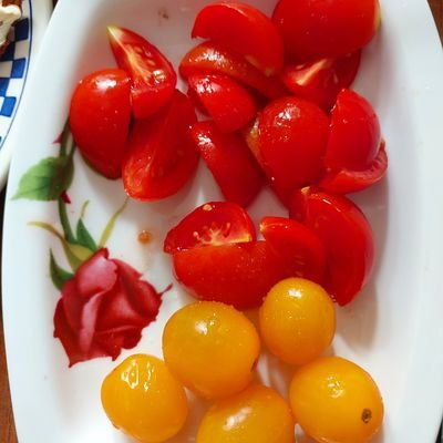 bikbay_yasin's profile picture. 