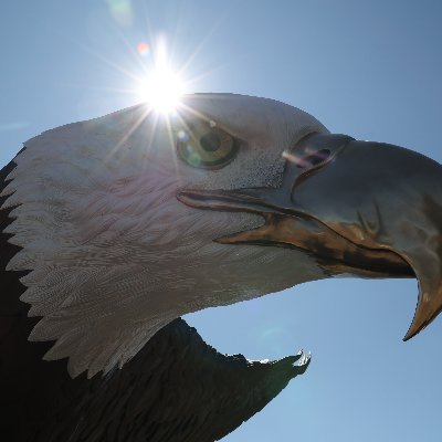 pacnw652's profile picture. 