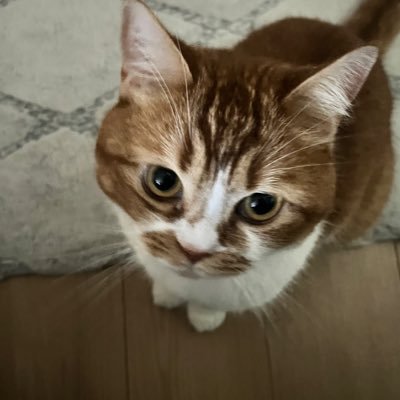 2Pw97's profile picture. 金爆好きな人と繋がりたいです！好きになってまだ3日目です👀