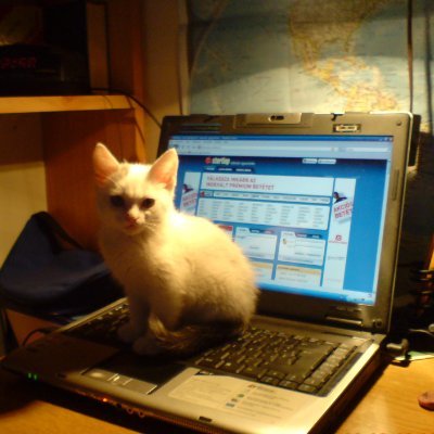 whoamix302's profile picture. Cybersecurity | Adversarial Infrastructure Hunting | Threat intelligence