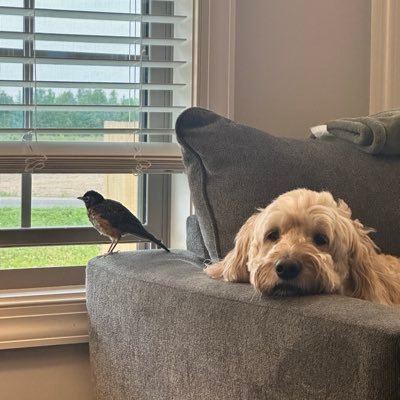 scorpeswriter's profile picture. "We are most powerful when we do not have to subjugate our existence in life. "