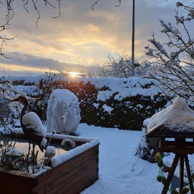 elleninspired0's profile picture. 