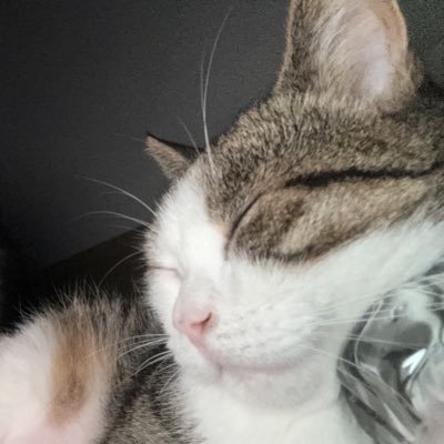 constannnnce_'s profile picture. 