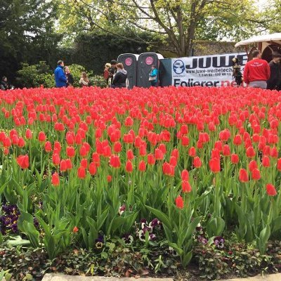 EllenArctoa's profile picture. 🇨🇦🇵🇭🇩🇪