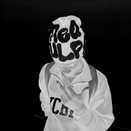 ictheplug's profile picture. SNDVLTS ⚔️