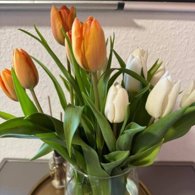 MeeliiRioos201's profile picture. 