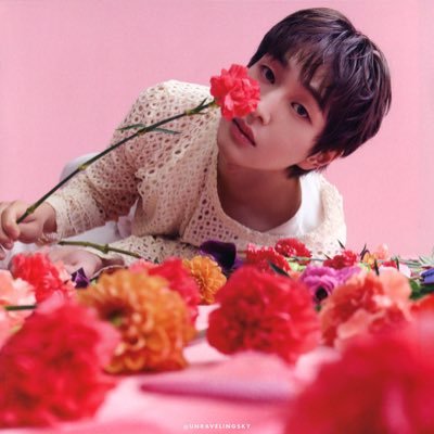 coelhadojinki's profile picture. shawol, journalist, multifandom girl and cat lover/mom, sic adm