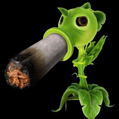 MILK_IDOTMASTER's profile picture. I'm goated actually 

trust

18 yrs old