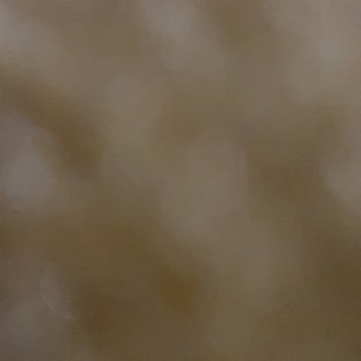 MHsyn2289's profile picture. 