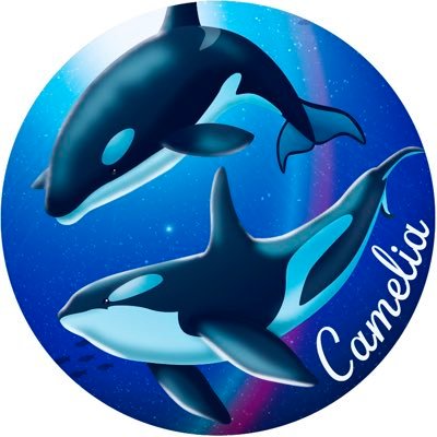 Runa_Camelia's profile picture. Camelia（キャメリア） デザイナー兼イラストレーター&ハンドメイド作家。まるで絵本から飛び出したかのような、夜空をまとったような宝石のような海の生き物たち。眺めて癒される、そっと心に寄り添うアクセサリーを心を込めて作っています。販売はこちら↓