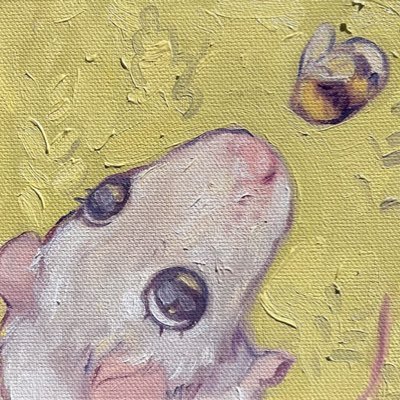 pwincesskaida's profile picture. 29 💗 (nsfw) unhinged hamster x hopeless romantic. sometimes sad music posting. sister: @kittygfxo alt: @babikaida