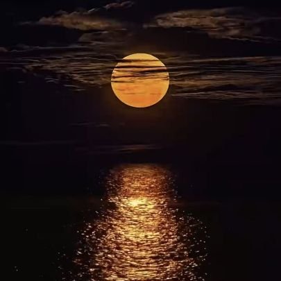 SEO30JJ's profile picture. choose people who choose you.