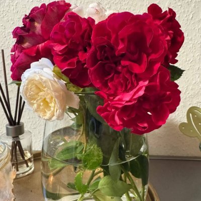 EllenCoveemc's profile picture. 