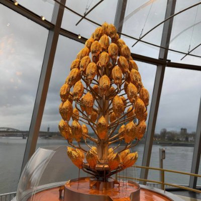 ElizaReporfz's profile picture. 