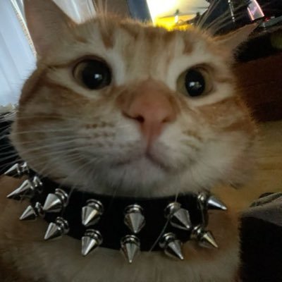 jsttmari's profile picture. 