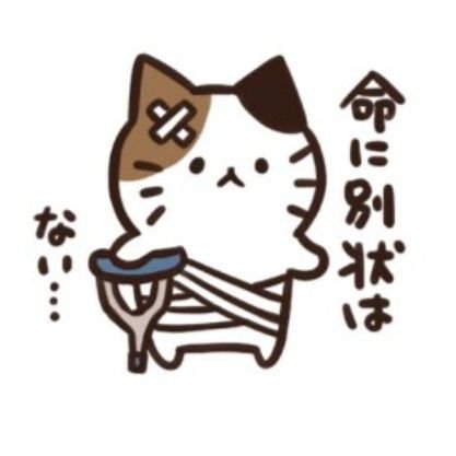 oji_chan_ja's profile picture. 好きな相手でも間違ってたら全肯定せずに言うタイプのじいちゃん。フォロー非推奨。明らかにBotくさいのが多いので無言フォローはほぼブロ解(フォロバは除く)アイコンはekot_タカ氏(許可済)