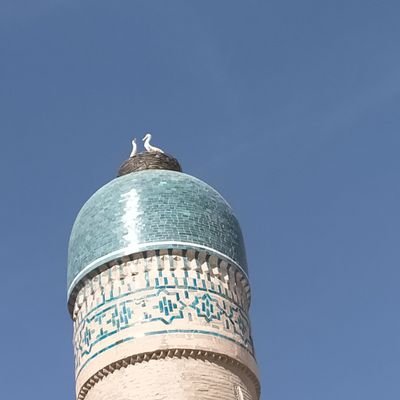 Taraco313's profile picture. 2015年証券口座開設〜2017年頃からポツポツ個別株の売買開始〜2020年コロナをきっかけに売買回数増加
📚️2025年今、投資のやり方を見直し中
苦手なコツコツ投資も取り組みつつ、インカムを増やしたい関東住まいパート主婦
🥾旅好き・ゆる登山で細く長く健やかに過ごしたい🥾