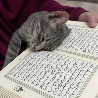 AminaAldabbagh's profile picture. ولا تُحمِّلنا ما يُرخي قوَّة أكتافنا يارحيم