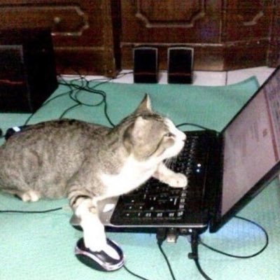 khproki's profile picture. Ki do Programming