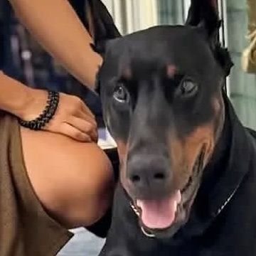 gabriel_sa20930's profile picture. 