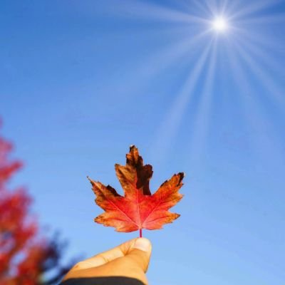 AmadouJ60023's profile picture. 