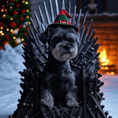 TobyTheGrey2025's profile picture. partnered patriot. mind your business. posts are my opinions and nothing more. I’ll prefer the more offensive option every time.