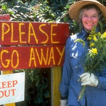 erecetenide's profile picture. 