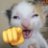 eilonjebalyo's profile image