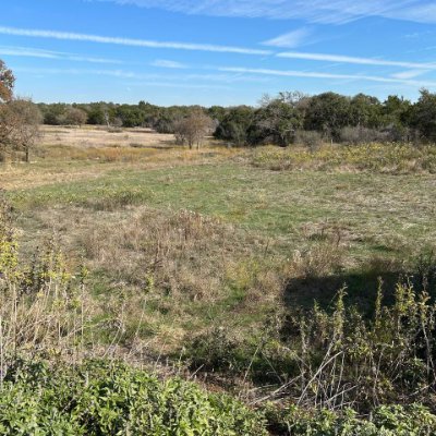 Evelynweishiy's profile picture. 