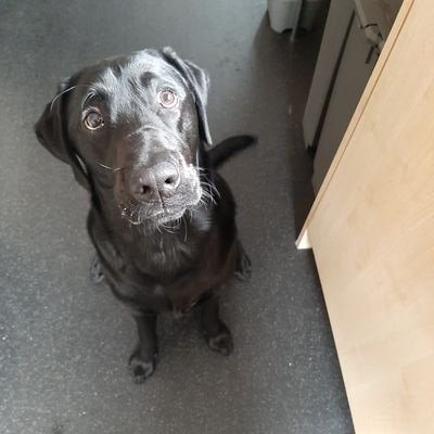 DawnDaw6831's profile picture. 