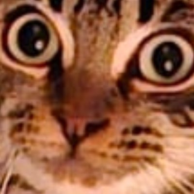 antrocles's profile picture. ROMANS 12:2
Love all. Trust few. Harm none. 
Support your supporters. No exceptions..
SOLI DEO GLORIA!! 🙏🏻