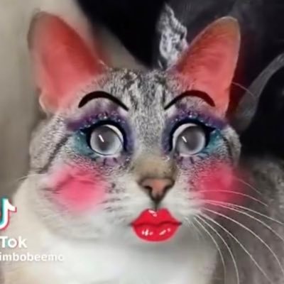 evilmegryan's profile picture. anti-gay pro-war