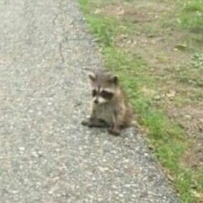 D1ez_10's profile picture. 