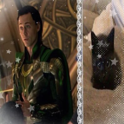 BrokenSpawnIRL's profile picture. they/them he/him! shedtwt! fox or puppy boy, ftm! suicidal person. 102 pounds 13-14 years old