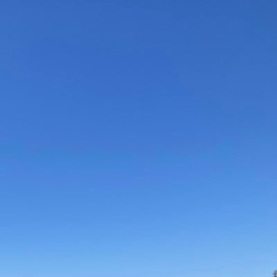 YwX6d's profile picture. 成人済