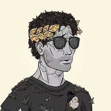 assasin_eth's profile picture. 21. trader @trenchgrinders