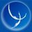 COPIB's profile image