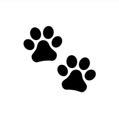 Shea11124591's profile picture. 