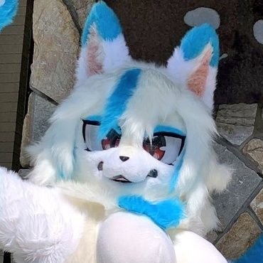 kig39's profile picture. 着ぐるみ&ケモノ写真はネット公開OKフォローもご自由に☆写真掲載時レス頂けると嬉しいです！
🐇DAINA🤎ダイナ
🐲Aina❤あいな
🦊Momona🍑ももな
🐺Kaina🩵カイナ
けものフレンズ🦝アライさん&🖤タスマニアデビル 
初音ミク🏁🎀
👻東北イタコ
URL：セガDIVA大会参加写真