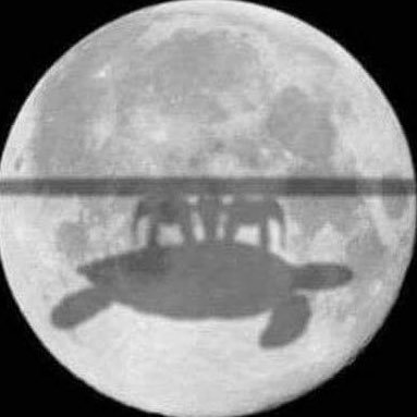 wezels40's profile picture. 