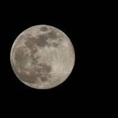 dread_headfrfr's profile picture. confessional