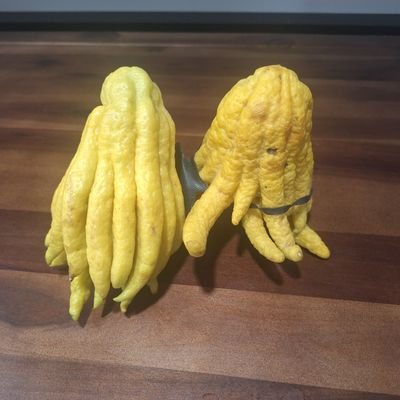 DFoxside's profile picture. Ogre-wave bassist. Denizen of the Post-American Neo-Midwest. True Leveller. Animist-adjacent.