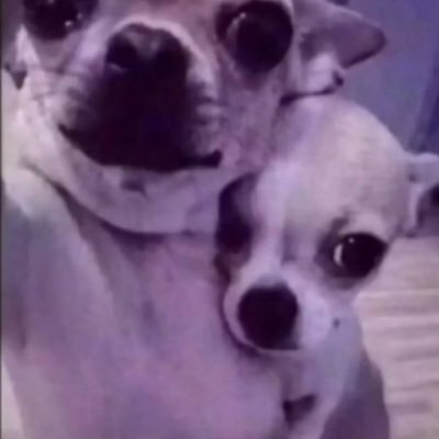 starbgton's profile picture. 