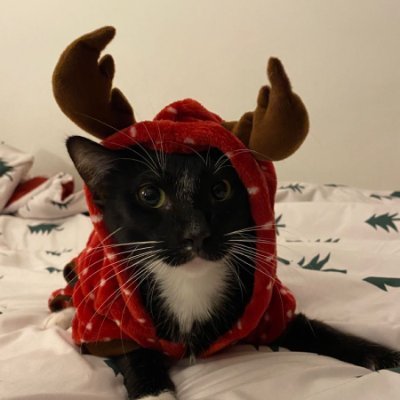 canto_aconchego's profile picture. 🛒 | Todos os posts são repostados depois de 7 dias (por conta do link)
❌ | Não somos uma loja, apenas divulgamos produtos da Shopee!