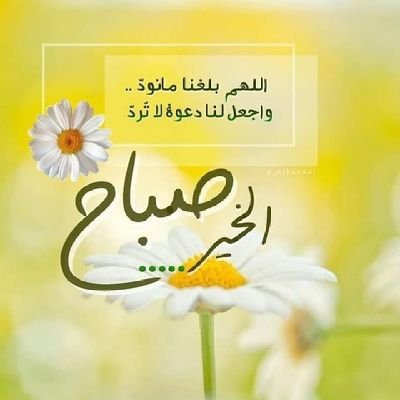 AlkhataAm6145's profile picture. خطابه ام سلطان لزواج المسيار والمعلن للمواطنين والمقيمين داخل الدوله حياكم الله والله الموفق