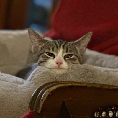 MrsAck804's profile picture. I’m a lot of things! Problematic, Chaotic, Fun is most of them!