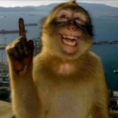 badgyalsuspend's profile picture. fuck it we ball. 🇯🇲. #newyorkforever