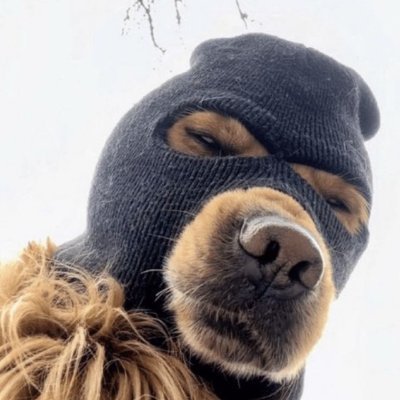 an420eth's profile picture. Living on the blockchain ⛓️ | Art, Tokens, & Community. Building a digital identity.
#Metaverse #NFT #Ethereum