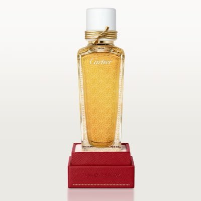 lepaiinn's profile picture. https://t.co/adhm8wDK9X