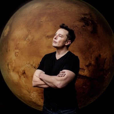 elonnx_43945's profile picture. fan page 📑 Kekius Maximus 🚀     Ceo Twitter x)✌🏻       Space x)  Owner of tesla 🚘  Co founded technology Dogs.